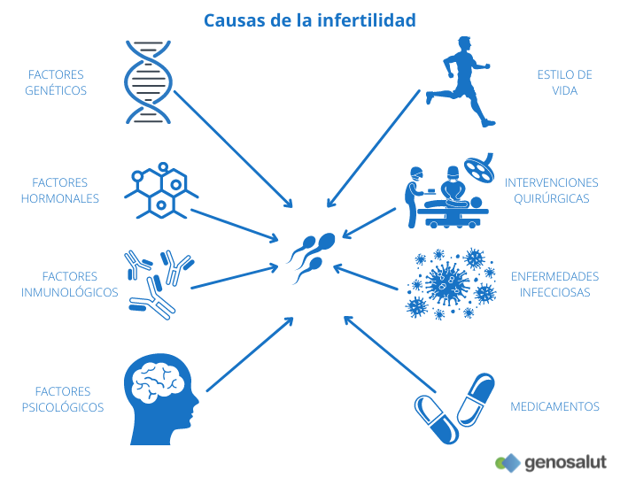 la importancia de la genetica en la fertilidad humana y su impacto