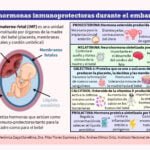 la progesterona y su influencia en el metabolismo y la salud