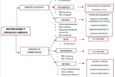 manejo del estres estrategias efectivas para tirotoxicosis