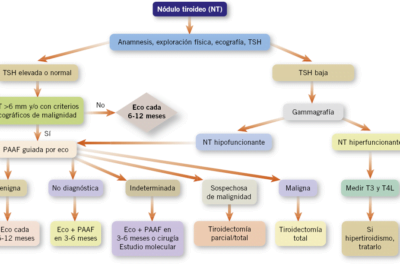 manejo integral de los trastornos de tiroides guia practica