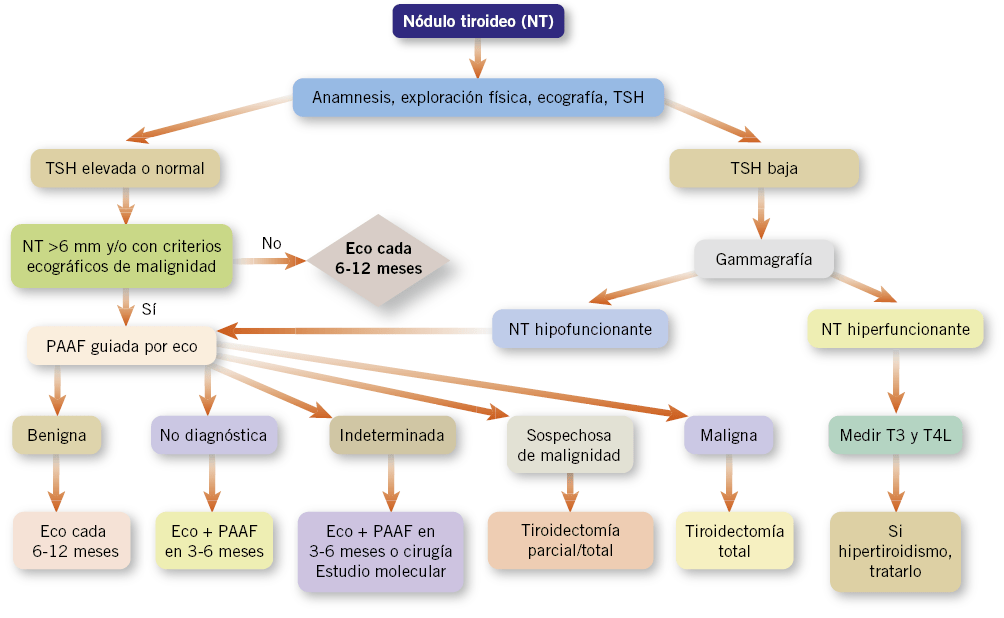 Manejo Integral de los Trastornos de Tiroides: Guía Práctica 1 manejo integral de los trastornos de tiroides guia practica