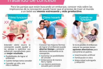 mejores momentos para concebir guia para parejas buscando embarazo