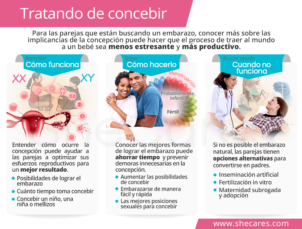 Mejores momentos para concebir: Guía para parejas buscando embarazo 1 mejores momentos para concebir guia para parejas buscando embarazo