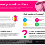 menopausia y salud cardiovascular lo que necesitas saber