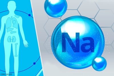 metabolismo del sodio funciones y procesos esenciales