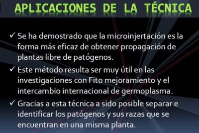 metodos eficaces para evaluar la androgenesis en investigaciones