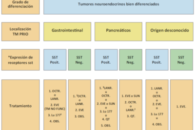 monitoreo efectivo de tumores neuroendocrinos en pacientes