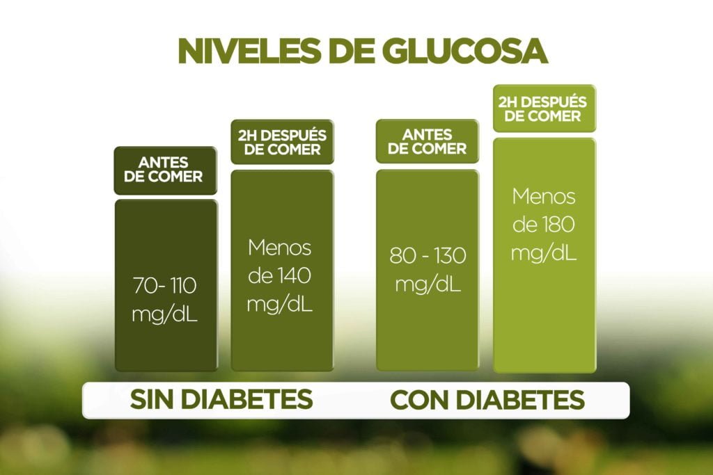 niveles normales de insulina en el organismo humano saludable