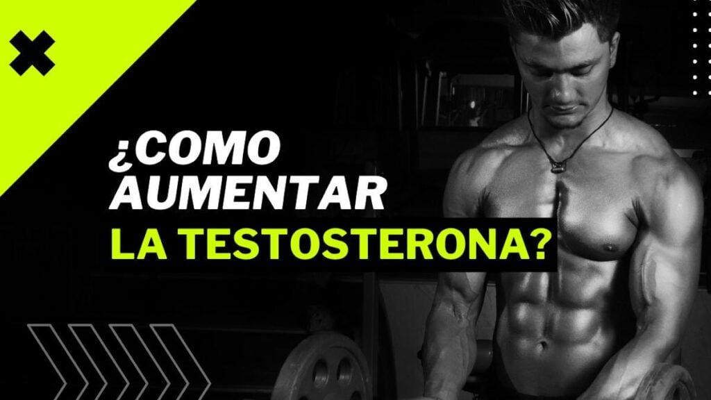 Niveles óptimos de testosterona en hombres y mujeres: guía esencial 1 niveles optimos de testosterona en hombres y mujeres guia esencial