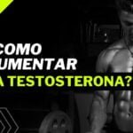 niveles optimos de testosterona en hombres y mujeres guia esencial