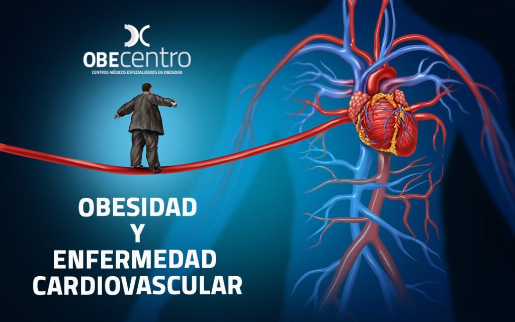 obesidad y su relacion con enfermedades cardiovasculares