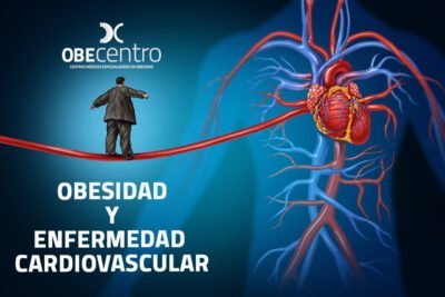 obesidad y su relacion con enfermedades cardiovasculares