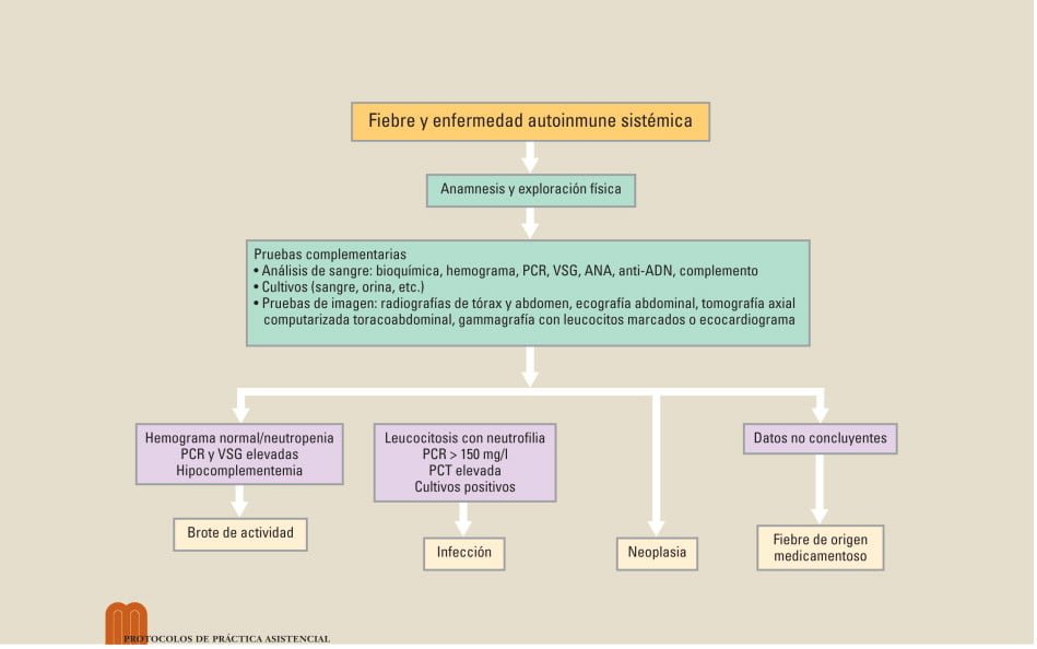 Pasos a seguir tras un diagnóstico de enfermedad autoinmune 1 pasos a seguir tras un diagnostico de enfermedad autoinmune