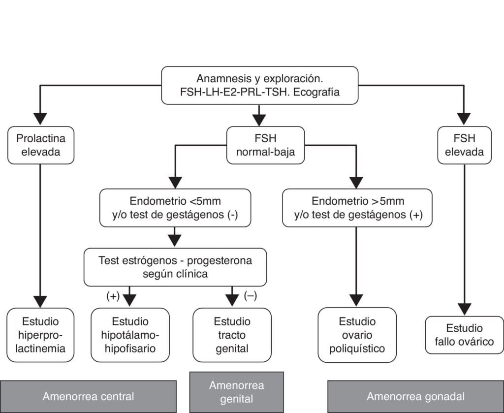 pasos para un diagnostico adecuado de disfuncion hormonal