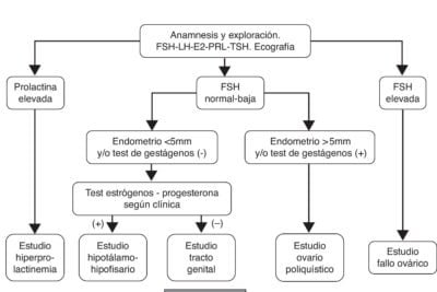 pasos para un diagnostico adecuado de disfuncion hormonal