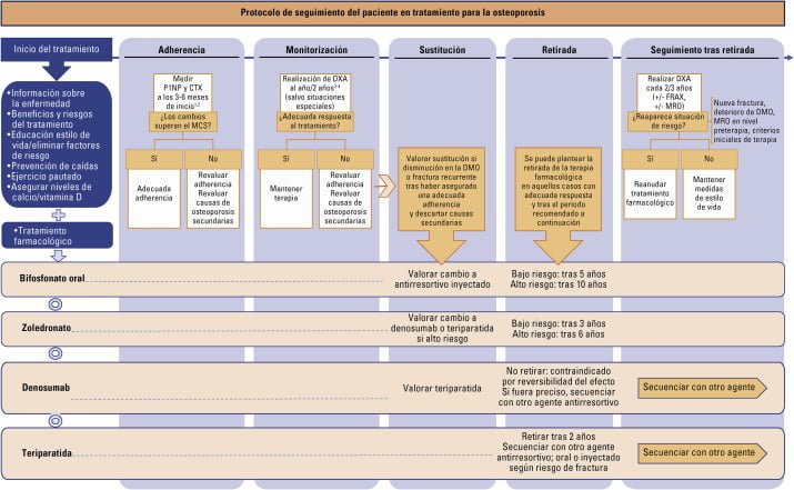 Perspectivas a largo plazo en pacientes con osteoporosis 1 perspectivas a largo plazo en pacientes con osteoporosis