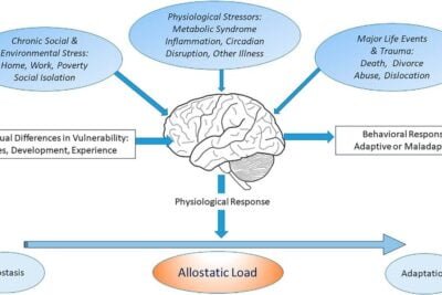 preguntas clave sobre el cortisol y su impacto en la salud