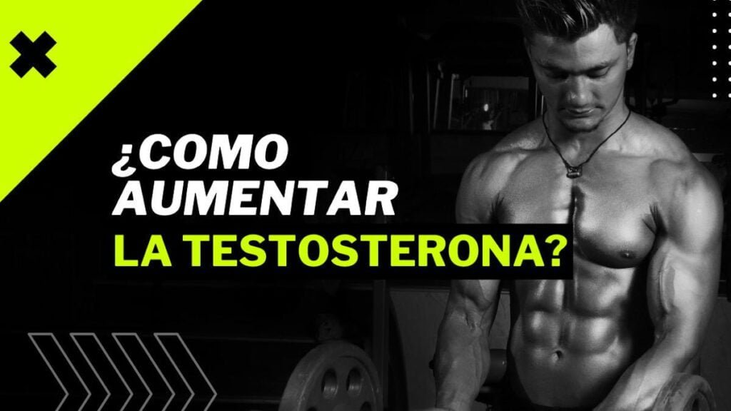 preparacion para una consulta sobre niveles de testosterona