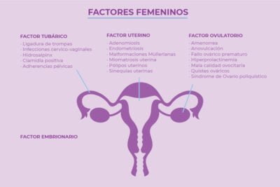 problemas uterinos y su relacion con la fertilidad femenina