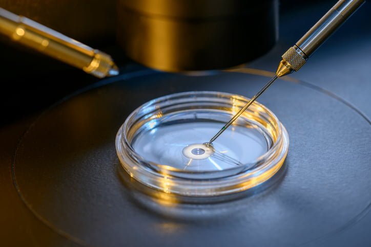 Proceso detallado para realizar eficazmente un ciclo de FIV 1 proceso detallado para realizar eficazmente un ciclo de fiv