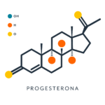 Progesterona y colesterol: Importancia y funciones en el cuerpo humano