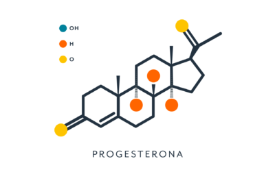 progesterona y colesterol importancia y funciones en el cuerpo humano