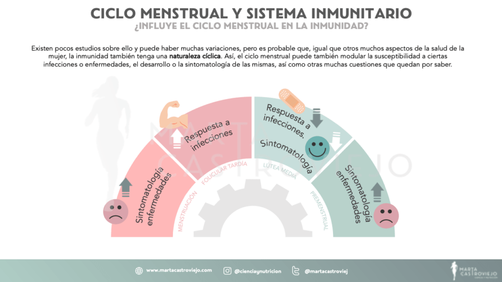 progesterona y su efecto en el sistema inmunologico