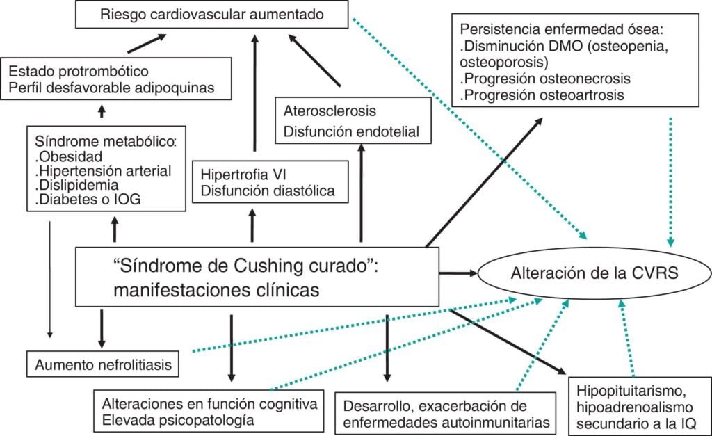 Pronóstico a largo plazo en pacientes con síndrome de Cushing 1 pronostico a largo plazo en pacientes con sindrome de cushing