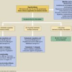 pronostico de la tirotoxicosis factores tratamiento y pronostico