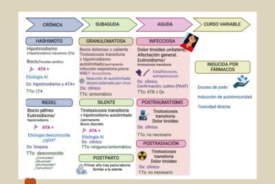 pruebas clave para evaluar la tirotoxicosis en pacientes