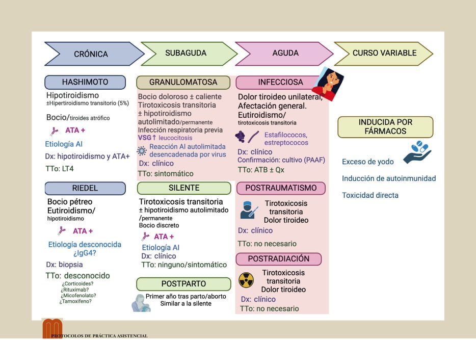 pruebas clave para evaluar la tirotoxicosis en pacientes