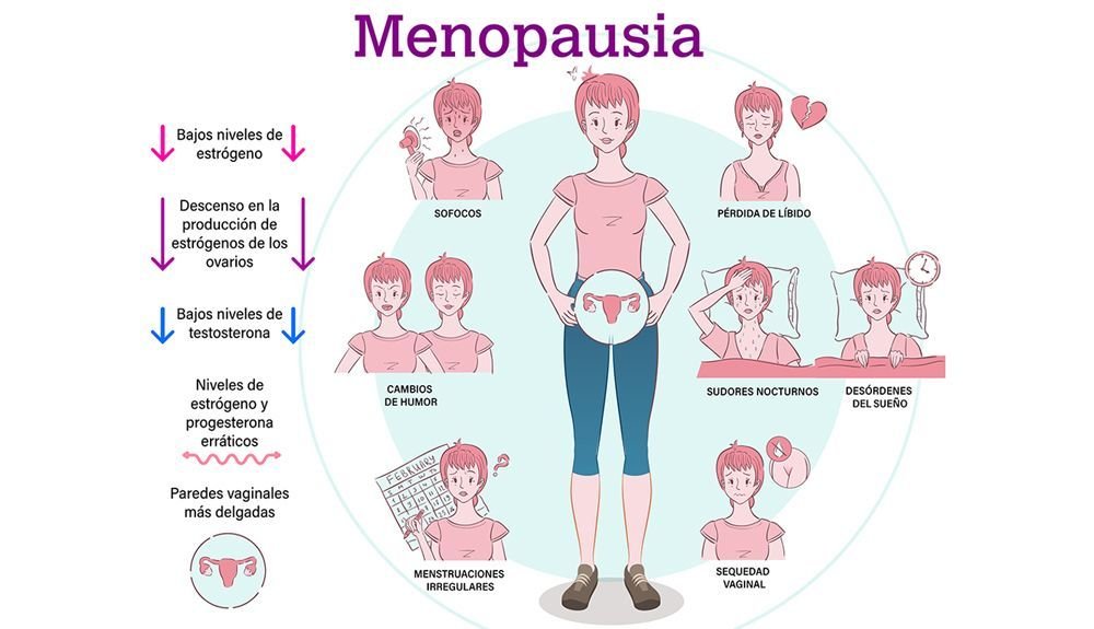 que cambios en el metabolismo ocurren en la menopausia