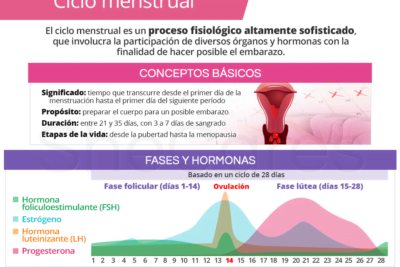 que cambios hormonales ocurren durante la menstruacion