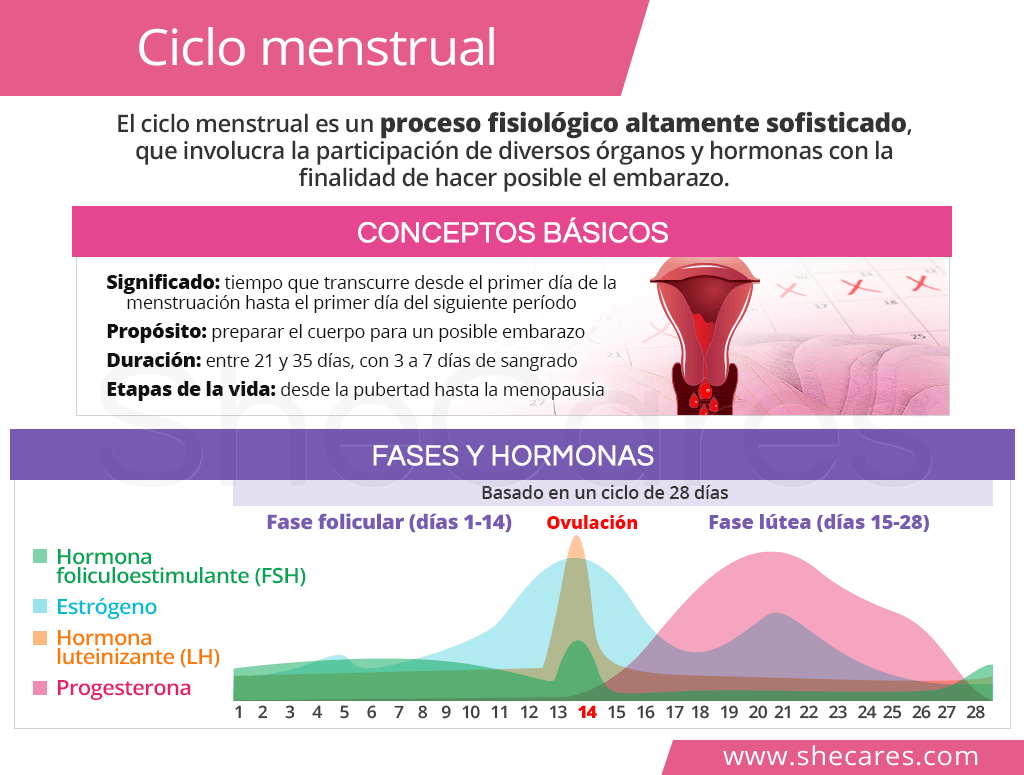 que cambios hormonales ocurren durante la menstruacion