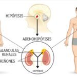 que complicaciones puede causar el sindrome de cushing