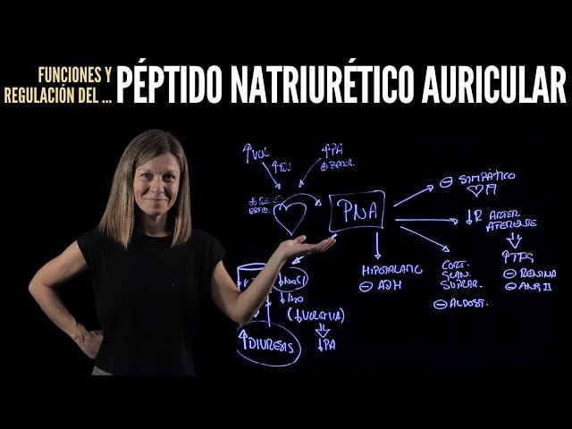 que efectos tiene el peptido natriuretico auricular