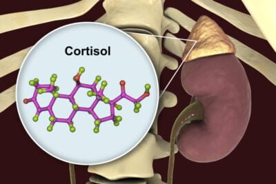 que es el cortisol su impacto en el cuerpo y su importancia