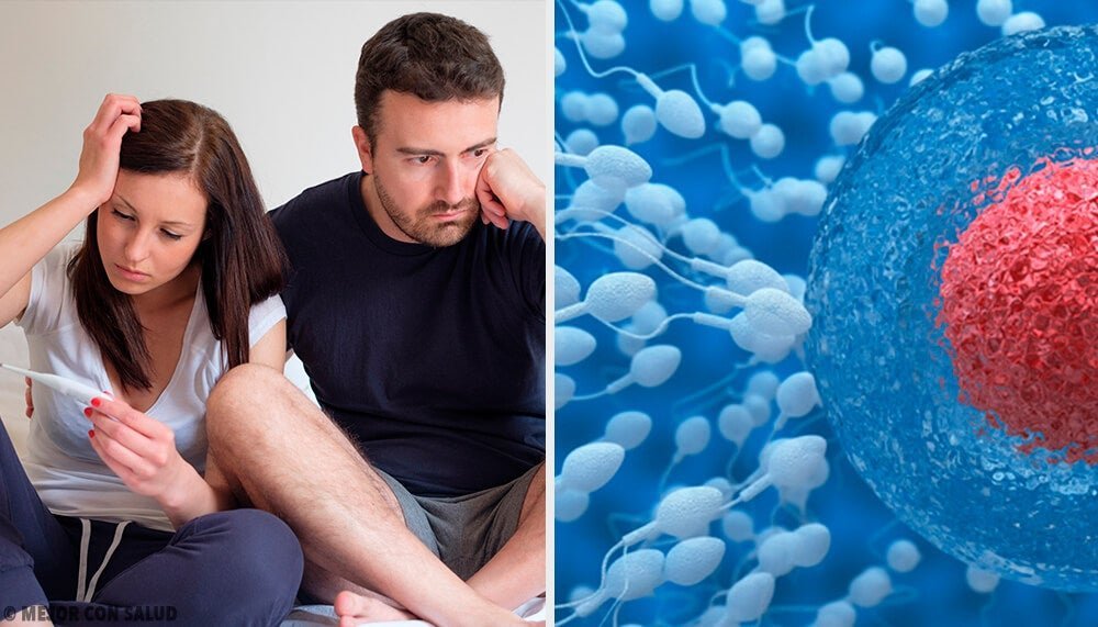Qué es la fertilidad masculina y cómo se puede mejorar 1 que es la fertilidad masculina y como se puede mejorar