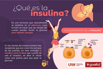 que es la insulina y cual es su funcion en el cuerpo humano