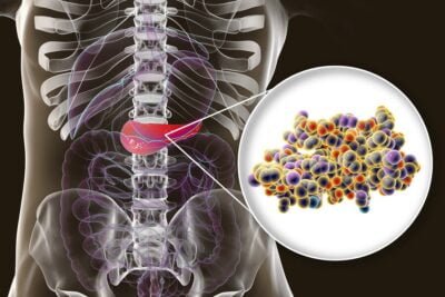 que es la insulina y su importancia para el cuerpo humano