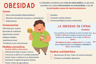 que es la obesidad y cuales son sus causas y consecuencias