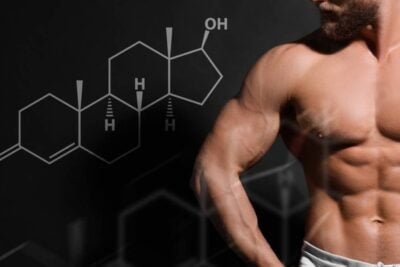 que es la testosterona y el ciclo de vida masculino