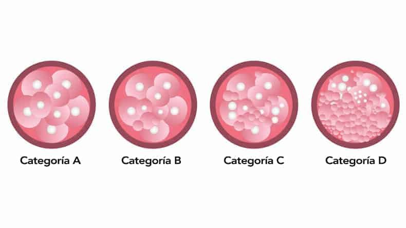 que es un embrion de calidad y como se clasifica