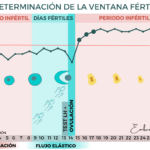 que estudios respaldan la importancia de la progesterona