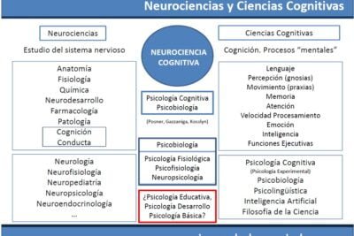 que formacion academica necesita un neuroendocrinologo