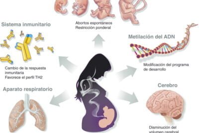 que impacto tiene el tabaquismo en el crecimiento