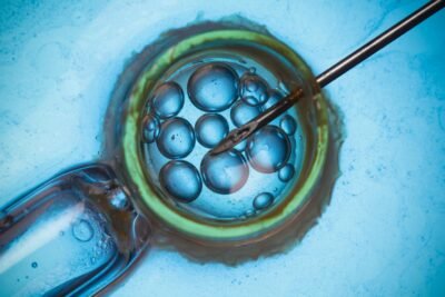 que impacto tiene la tecnologia en la fertilidad