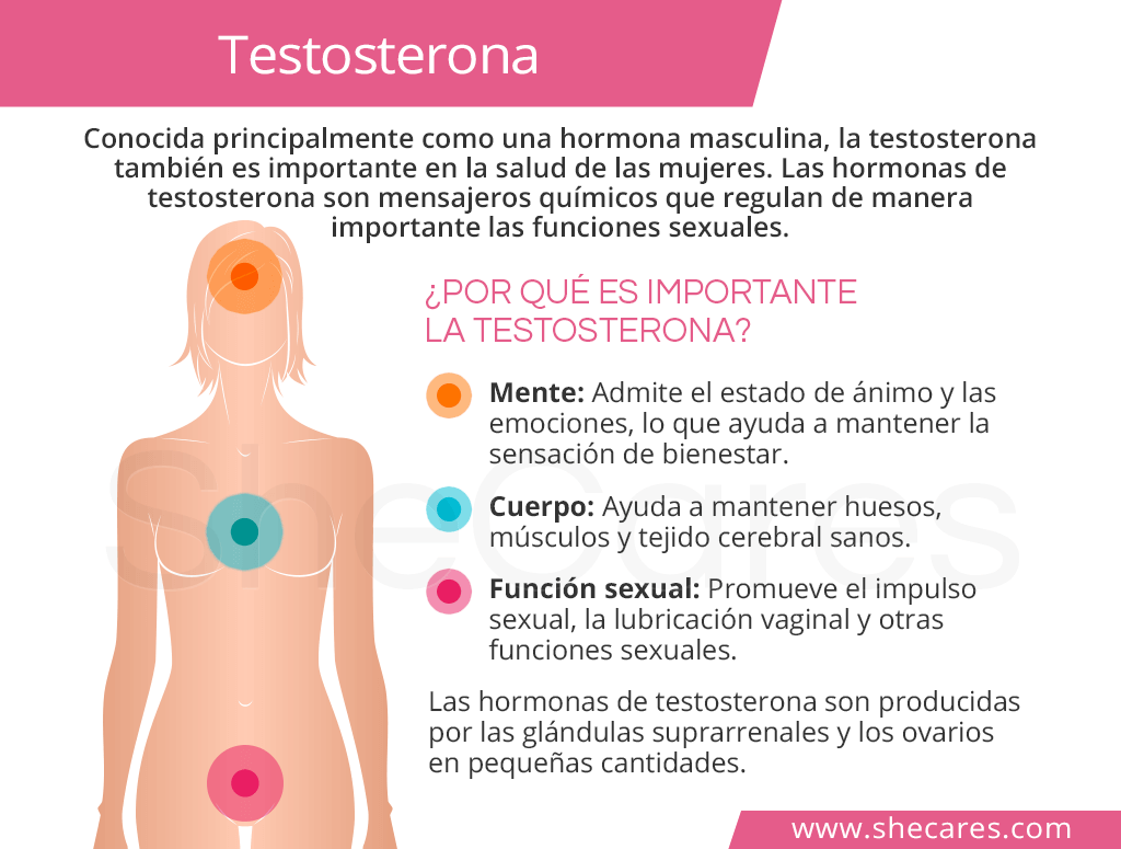 que impacto tiene la testosterona en la salud