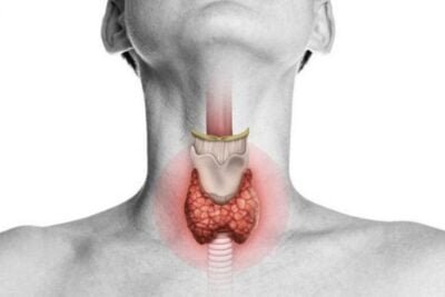 que importancia tiene la tiroides en la salud general