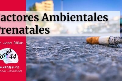 que influencias ambientales afectan las hormonas